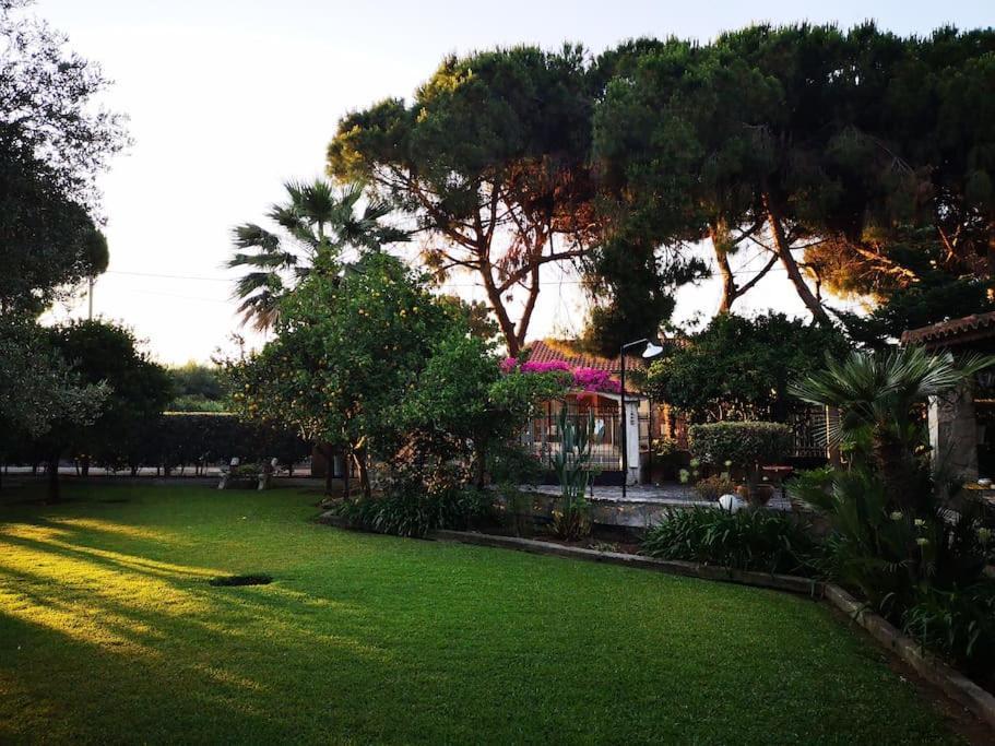 Kalamaki  Villa Lena Entire Cottage מראה חיצוני תמונה