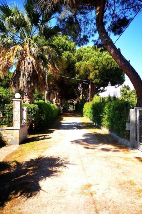 Kalamaki  Villa Lena Entire Cottage מראה חיצוני תמונה