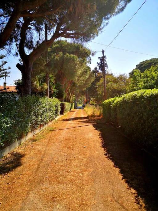 Kalamaki  Villa Lena Entire Cottage מראה חיצוני תמונה